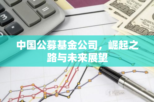 中国公募基金公司，崛起之路与未来展望-第1张图片-智财锋资讯网
