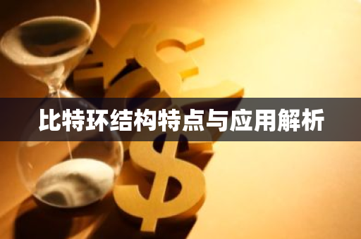 比特环结构特点与应用解析-第1张图片-智财锋资讯网 比特环结构特点与应用解析-第1张图片-智财锋资讯网