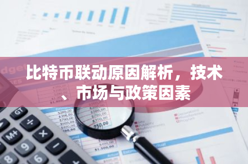 比特币联动原因解析，技术、市场与政策因素