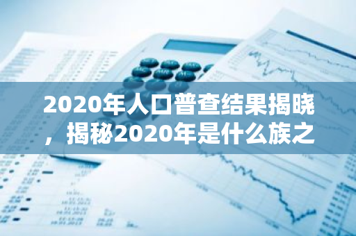 2020年人口普查结果揭晓，揭秘2020年是什么族之谜