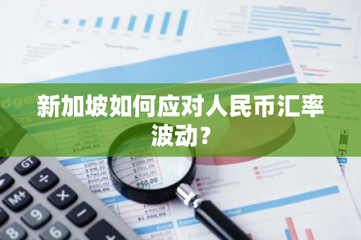 新加坡如何应对人民币汇率波动?-第1张图片-智财锋资讯网 新加坡如何应对人民币汇率波动?-第1张图片-智财锋资讯网