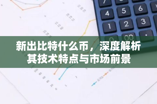新出比特什么币，深度解析其技术特点与市场前景