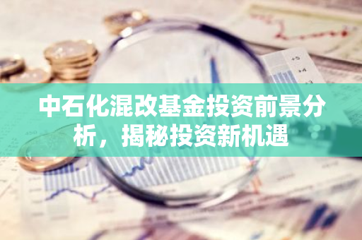 中石化混改基金投资前景分析，揭秘投资新机遇-第1张图片-智财锋资讯网