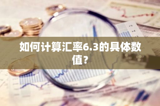 如何计算汇率6.3的具体数值?-第1张图片-智财锋资讯网 如何计算汇率6.3的具体数值?-第1张图片-智财锋资讯网