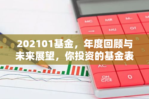 202101基金，年度回顾与未来展望，你投资的基金表现如何？-第1张图片-智财锋资讯网