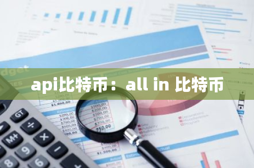 api比特币：all in 比特币