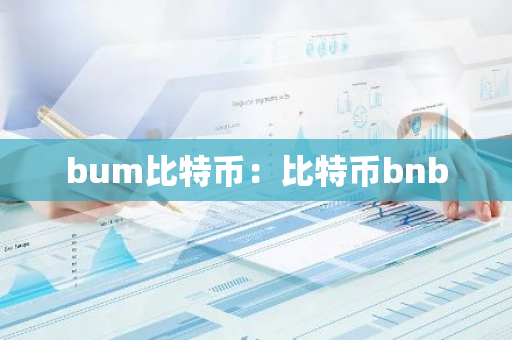 bum比特币：比特币bnb-第1张图片-智财锋资讯网