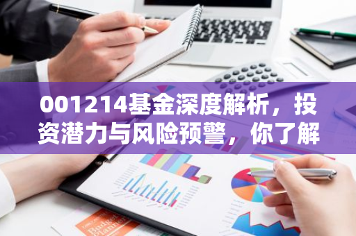 001214基金深度解析，投资潜力与风险预警，你了解多少？