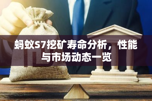 蚂蚁S7挖矿寿命分析，性能与市场动态一览