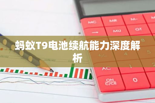 蚂蚁T9电池续航能力深度解析-第1张图片-智财锋资讯网