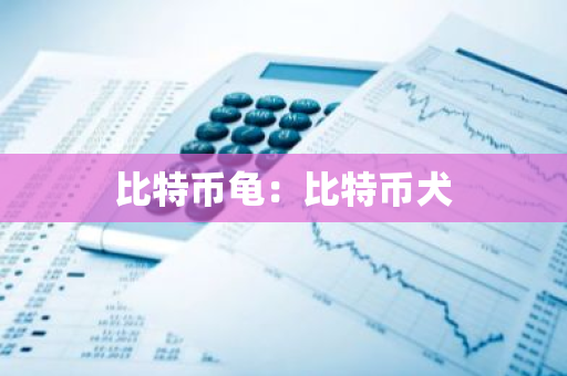 比特币龟：比特币犬-第1张图片-智财锋资讯网