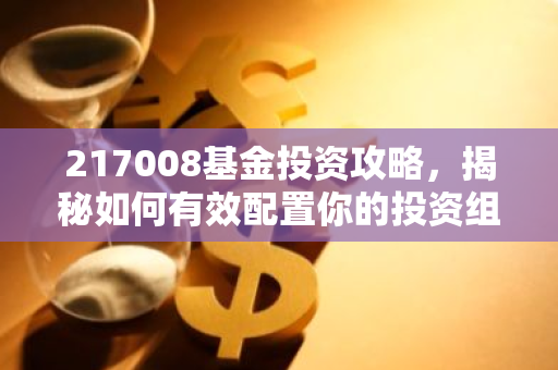 217008基金投资攻略，揭秘如何有效配置你的投资组合