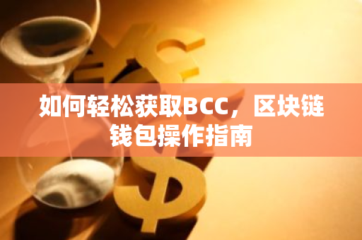 如何轻松获取BCC，区块链钱包操作指南-第1张图片-智财锋资讯网
