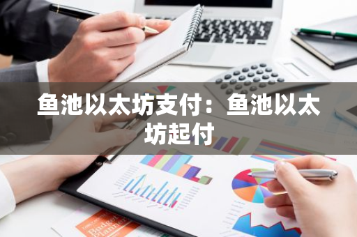 鱼池以太坊支付：鱼池以太坊起付-第1张图片-智财锋资讯网