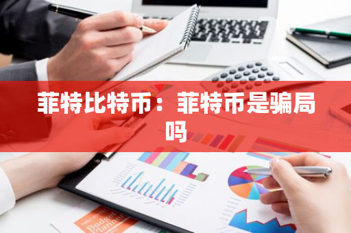 菲特比特币：菲特币是骗局吗-第1张图片-智财锋资讯网