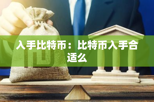入手比特币：比特币入手合适么-第1张图片-智财锋资讯网