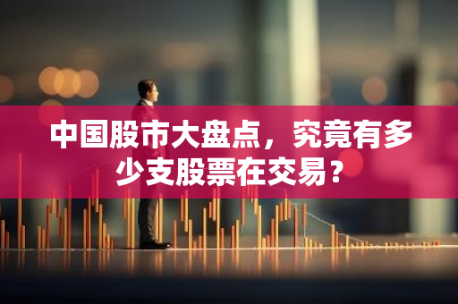中国股市大盘点，究竟有多少支股票在交易？