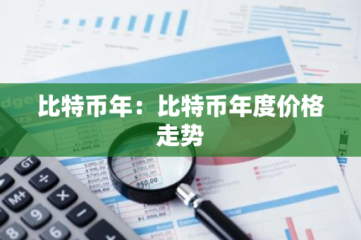 比特币年：比特币年度价格走势