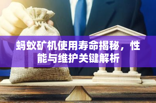 蚂蚁矿机使用寿命揭秘，性能与维护关键解析