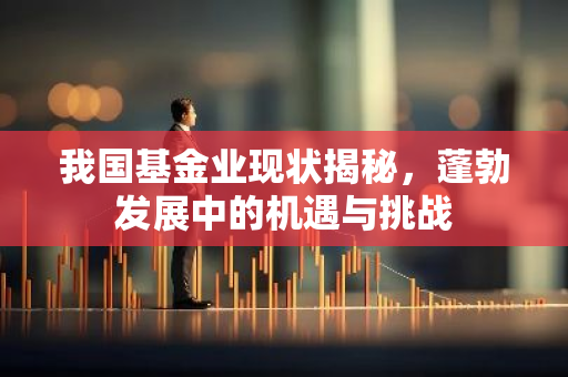 我国基金业现状揭秘，蓬勃发展中的机遇与挑战