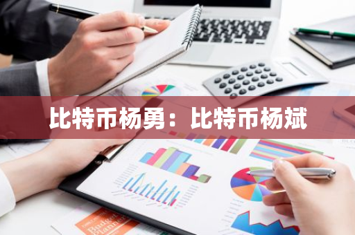 比特币杨勇：比特币杨斌-第1张图片-智财锋资讯网
