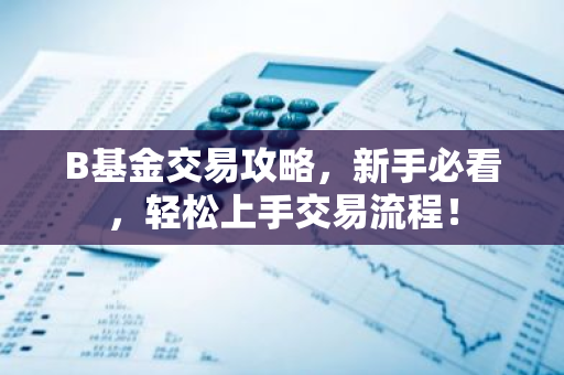 B基金交易攻略,新手必看,轻松上手交易流程!-第1张图片-智财锋资讯网 B基金交易攻略,新手必看,轻松上手交易流程!-第1张图片-智财锋资讯网