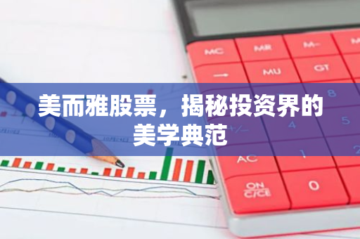 美而雅股票，揭秘投资界的美学典范