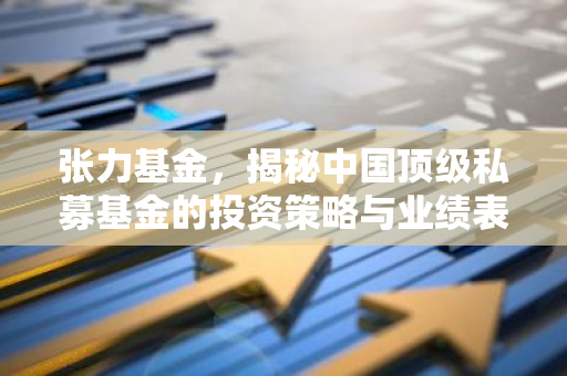张力基金，揭秘中国顶级私募基金的投资策略与业绩表现-第1张图片-智财锋资讯网