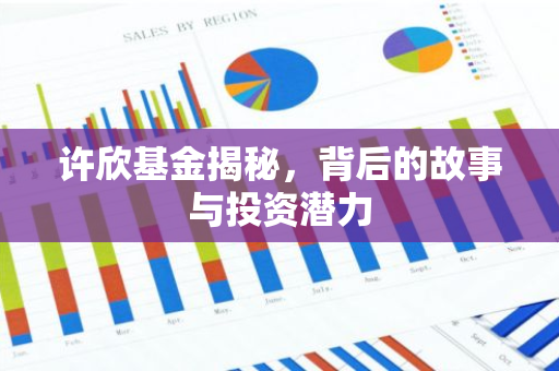 许欣基金揭秘,背后的故事与投资潜力-第1张图片-智财锋资讯网 许欣基金揭秘,背后的故事与投资潜力-第1张图片-智财锋资讯网