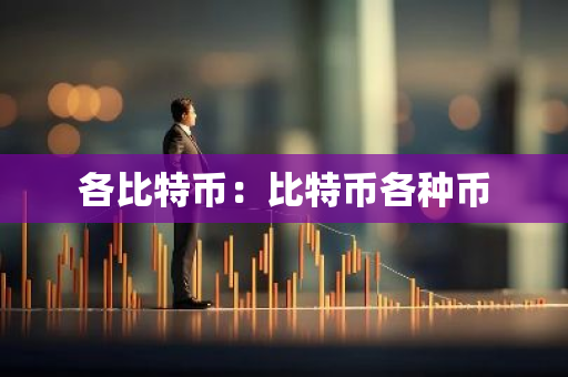 各比特币：比特币各种币