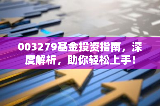 003279基金投资指南，深度解析，助你轻松上手！