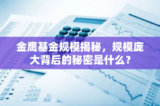 金鹰基金规模揭秘，规模庞大背后的秘密是什么？