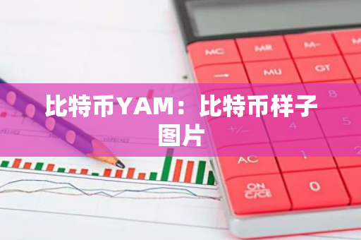 比特币YAM:比特币样子图片-第1张图片-智财锋资讯网 比特币YAM:比特币样子图片-第1张图片-智财锋资讯网