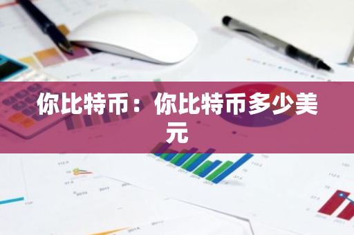 你比特币：你比特币多少美元-第1张图片-智财锋资讯网