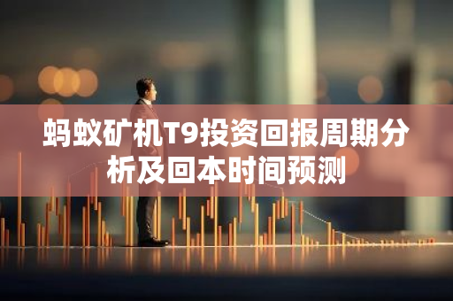 蚂蚁矿机T9投资回报周期分析及回本时间预测