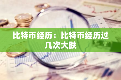 比特币经历：比特币经历过几次大跌