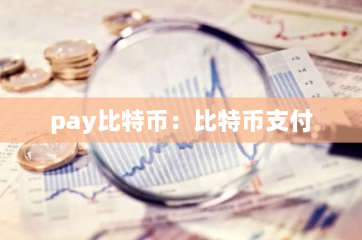 pay比特币：比特币支付
