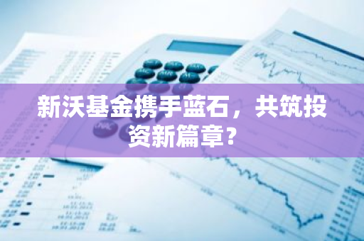 新沃基金携手蓝石，共筑投资新篇章？
