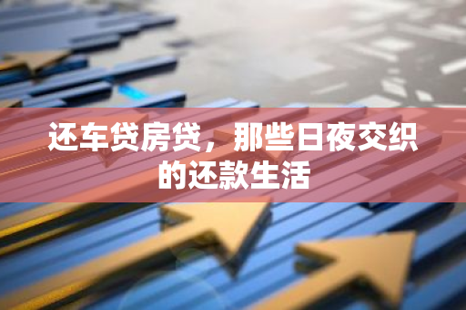 还车贷房贷，那些日夜交织的还款生活