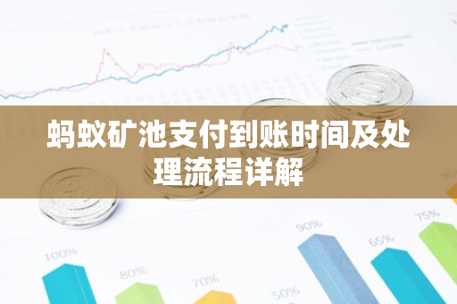 蚂蚁矿池支付到账时间及处理流程详解