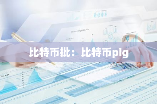 比特币批：比特币pig