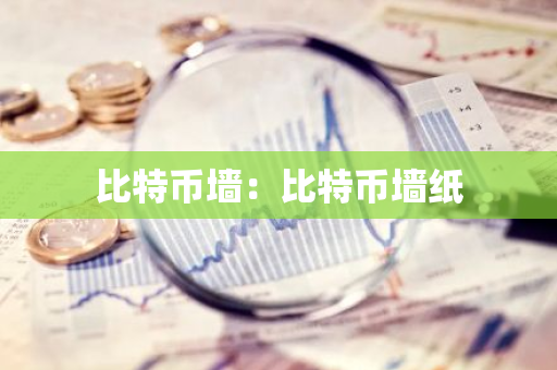 比特币墙：比特币墙纸