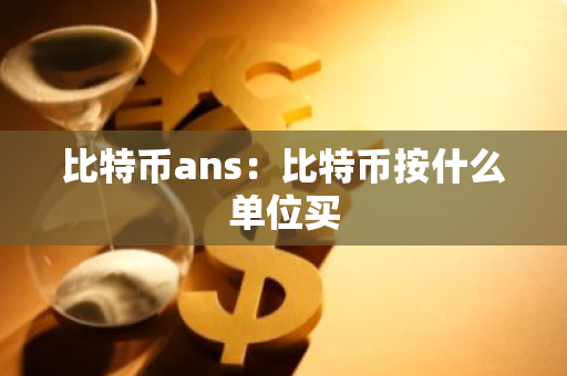 比特币ans：比特币按什么单位买
