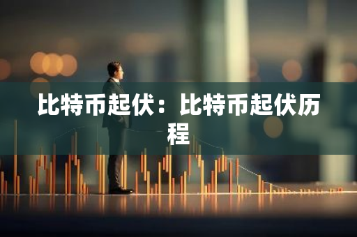 比特币起伏：比特币起伏历程
