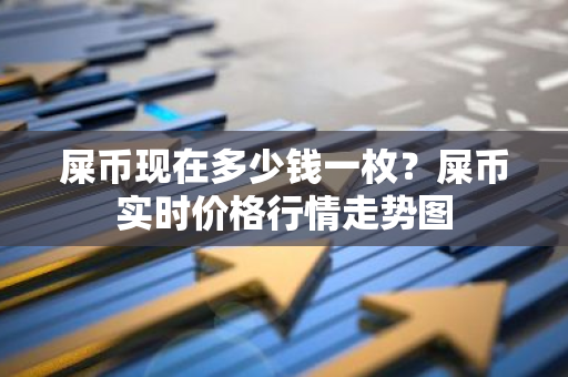 屎币现在多少钱一枚？屎币实时价格行情走势图-第1张图片-智财锋资讯网