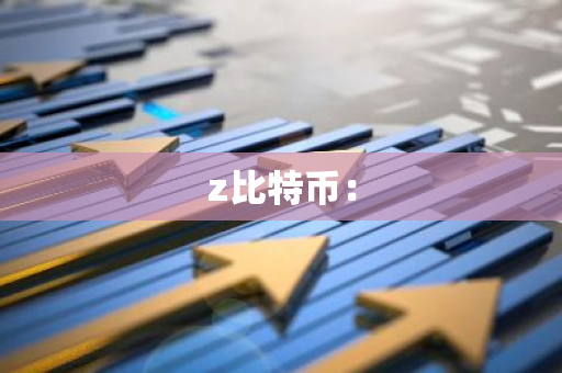 z比特币：