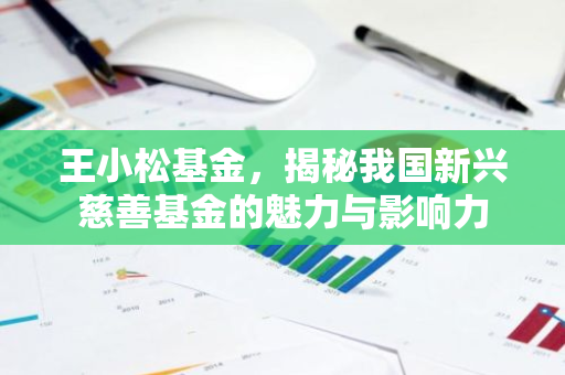 王小松基金，揭秘我国新兴慈善基金的魅力与影响力