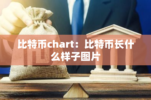 比特币chart:比特币长什么样子图片-第1张图片-智财锋资讯网 比特币chart:比特币长什么样子图片-第1张图片-智财锋资讯网