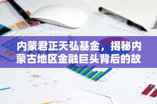 内蒙君正天弘基金，揭秘内蒙古地区金融巨头背后的故事