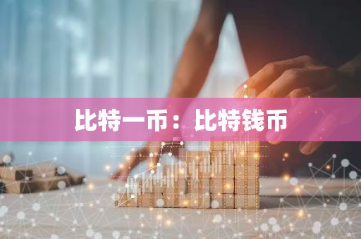 比特一币：比特钱币